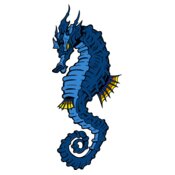seahorse02