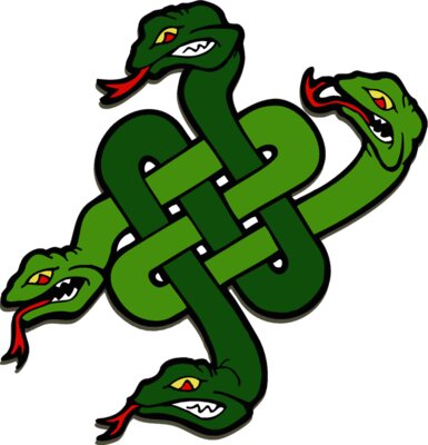celtic snakes