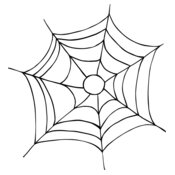 spiderweb2