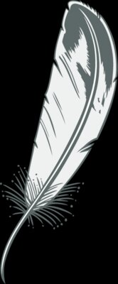 feathers03
