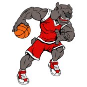 bulldogbasketball