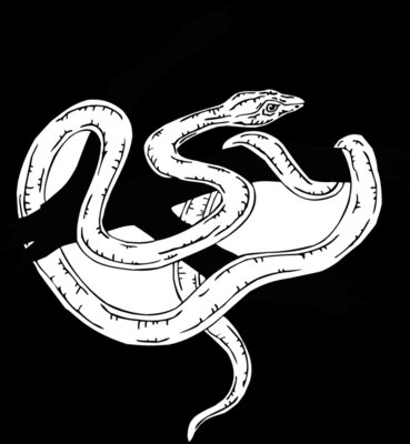 snake8