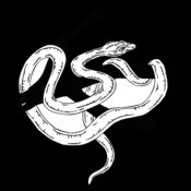 snake8