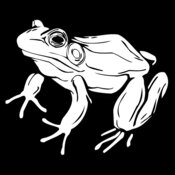 frog2