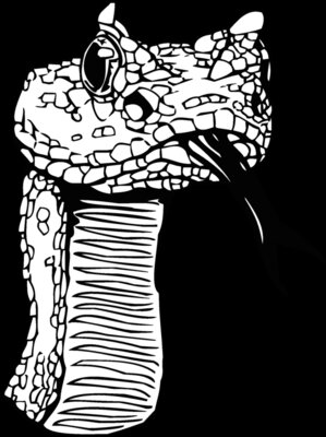 snakehea