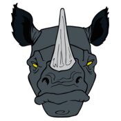 rhinohead02