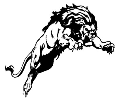 lion01