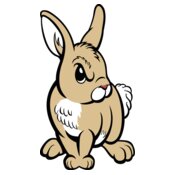 rabbit02v4clr