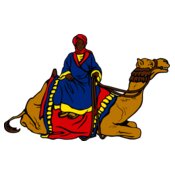 camel driver