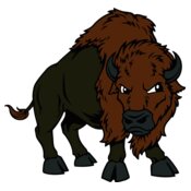 buffalo03v4clr