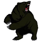 bear52