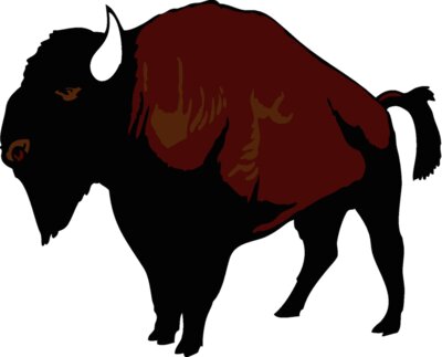 buffalo07v4clr