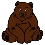 bear48