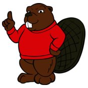 beaver11
