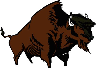 buffalo04v4clr