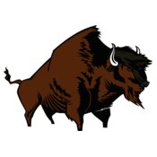 buffalo04v4clr