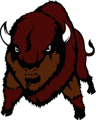 buffalo06v4clr