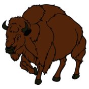 buffalo01v4clr