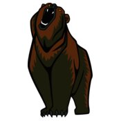 bear65
