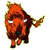 flaming bison 1