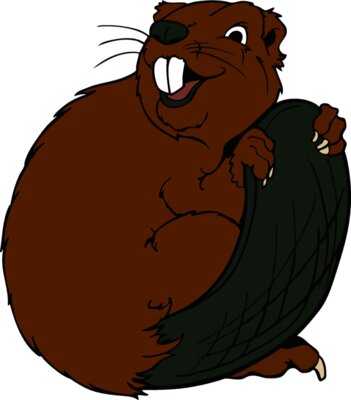 beaver21