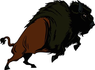 buffalo02v4clr