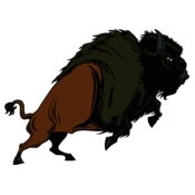buffalo02v4clr