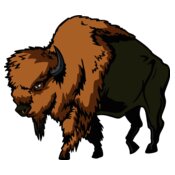 buffalom10