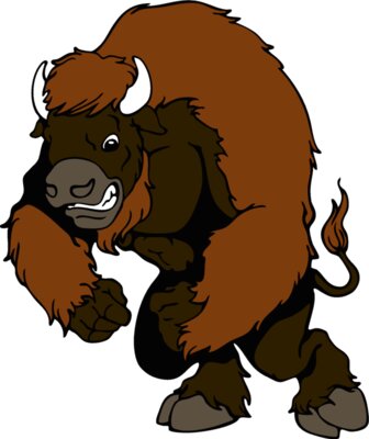 bison03