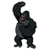 gorilla6