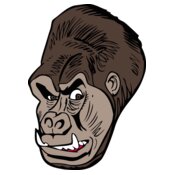 gorilla 23