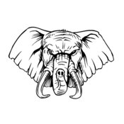elephanthead15