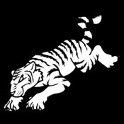 tiger8