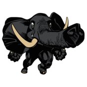 elephantjmp1