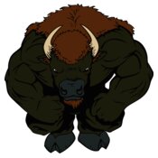 buffalo3