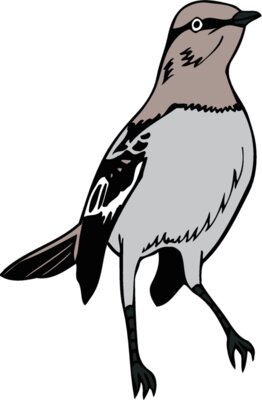 arkansasmockingbird1
