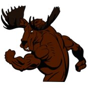 Deer Moose Elk